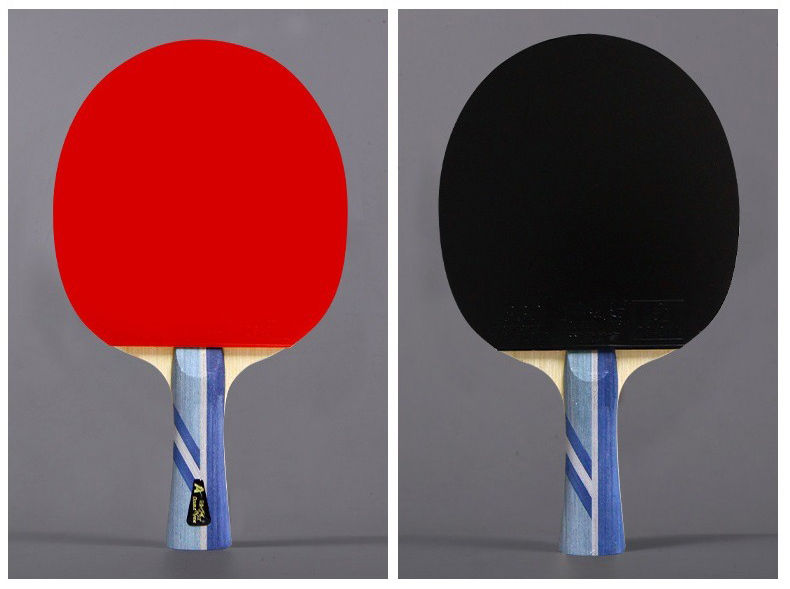 vợt bóng bàn Double Fish 3A+C 2