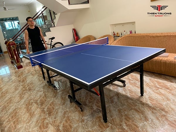 bàn bóng bàn Thiên Trường PT-02 5