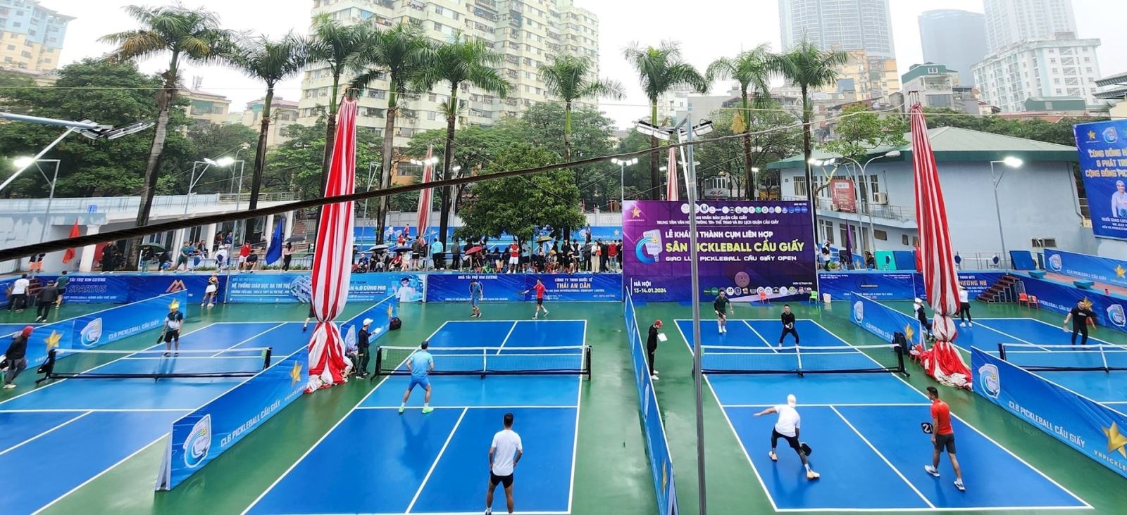 Câu Lạc Bộ Pickleball Cầu Giấy