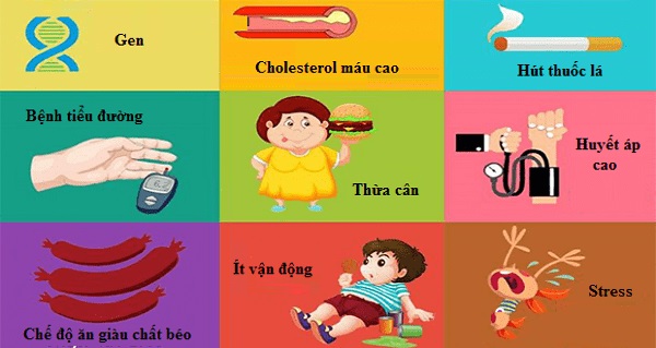 Các yếu tố nguy cơ gây ra bệnh tim mạch