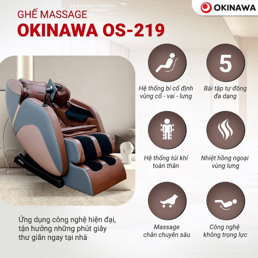 Ghế Massage Okinawa OS-219 3