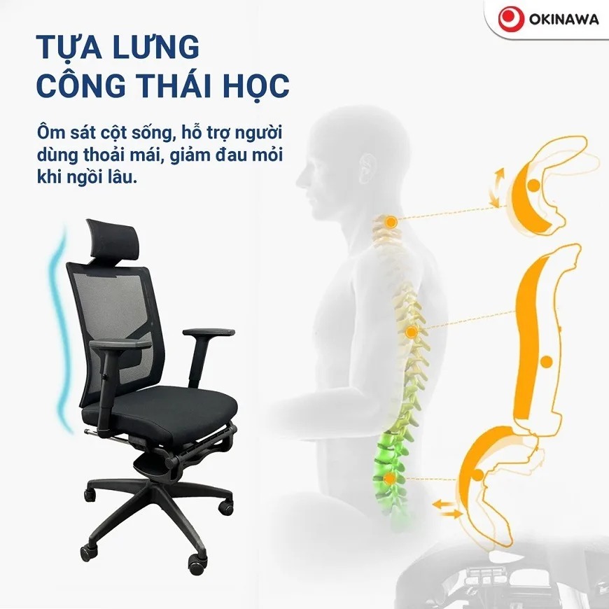 ghế công thái học Okinawa 3017 2