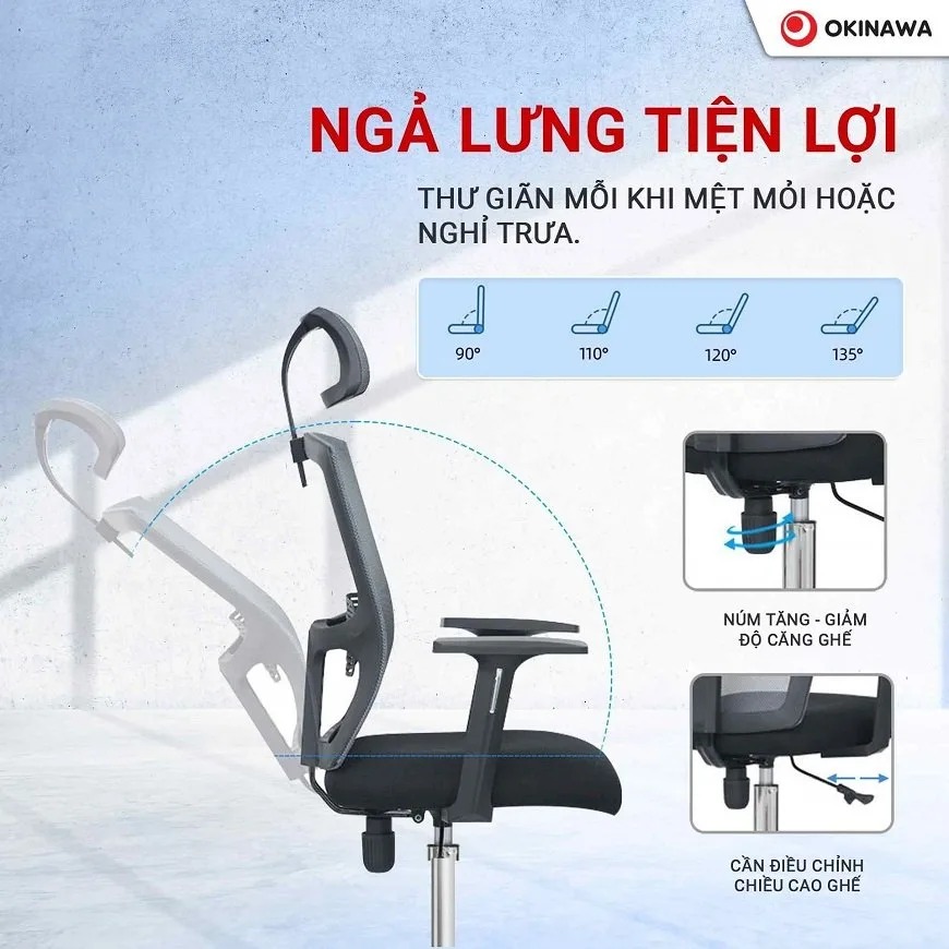 ghế công thái học Okinawa 3020 4