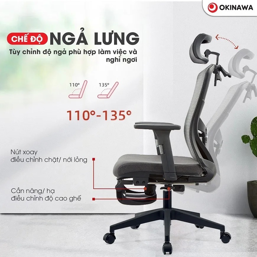 ghế công thái học Okinawa 3022 5