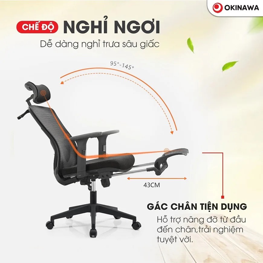 ghế công thái học Okinawa 3022 6