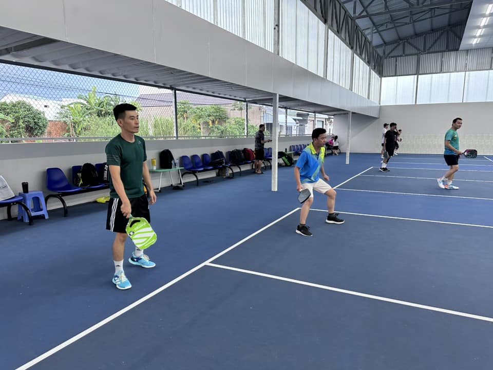 Thiết kế sân Pickleball