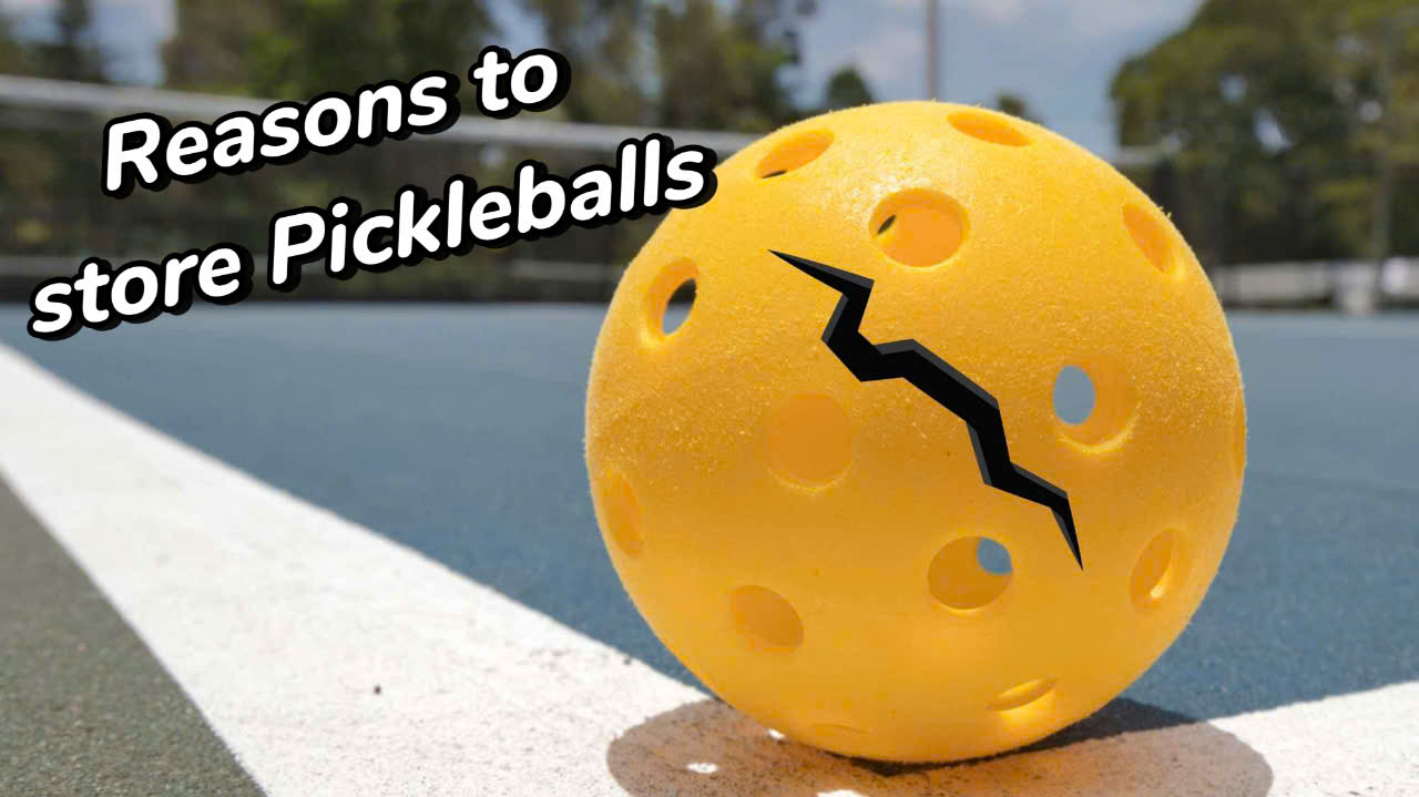  Lý do cần bảo quản bóng Pickleball