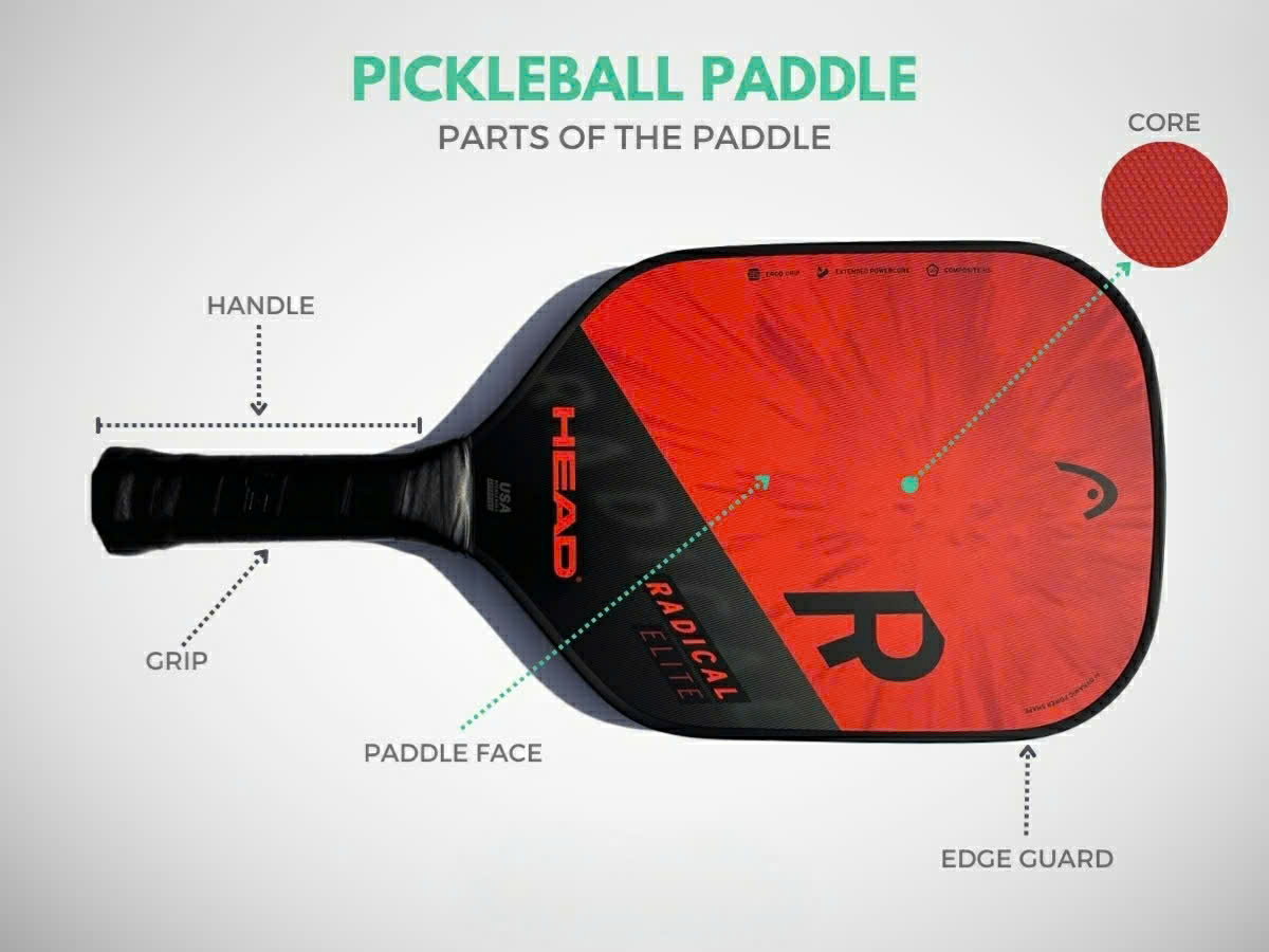 Kích thước vợt Pickleball