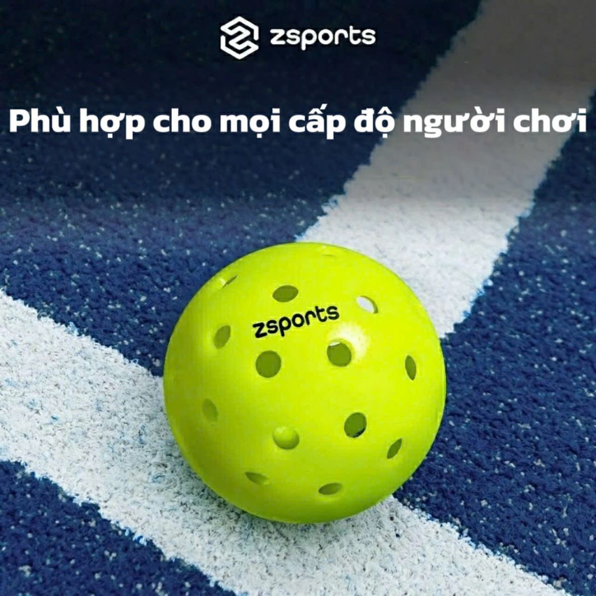 Lý do bóng Pickleball giá rẻ chính hãng đang trở thành xu hướng trên thị trường