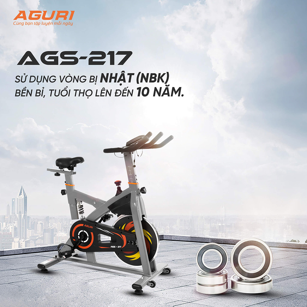 xe đạp tập thể dục AGURI AGS-217 13