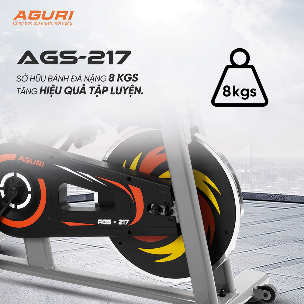 xe đạp tập thể dục AGURI AGS-217 16