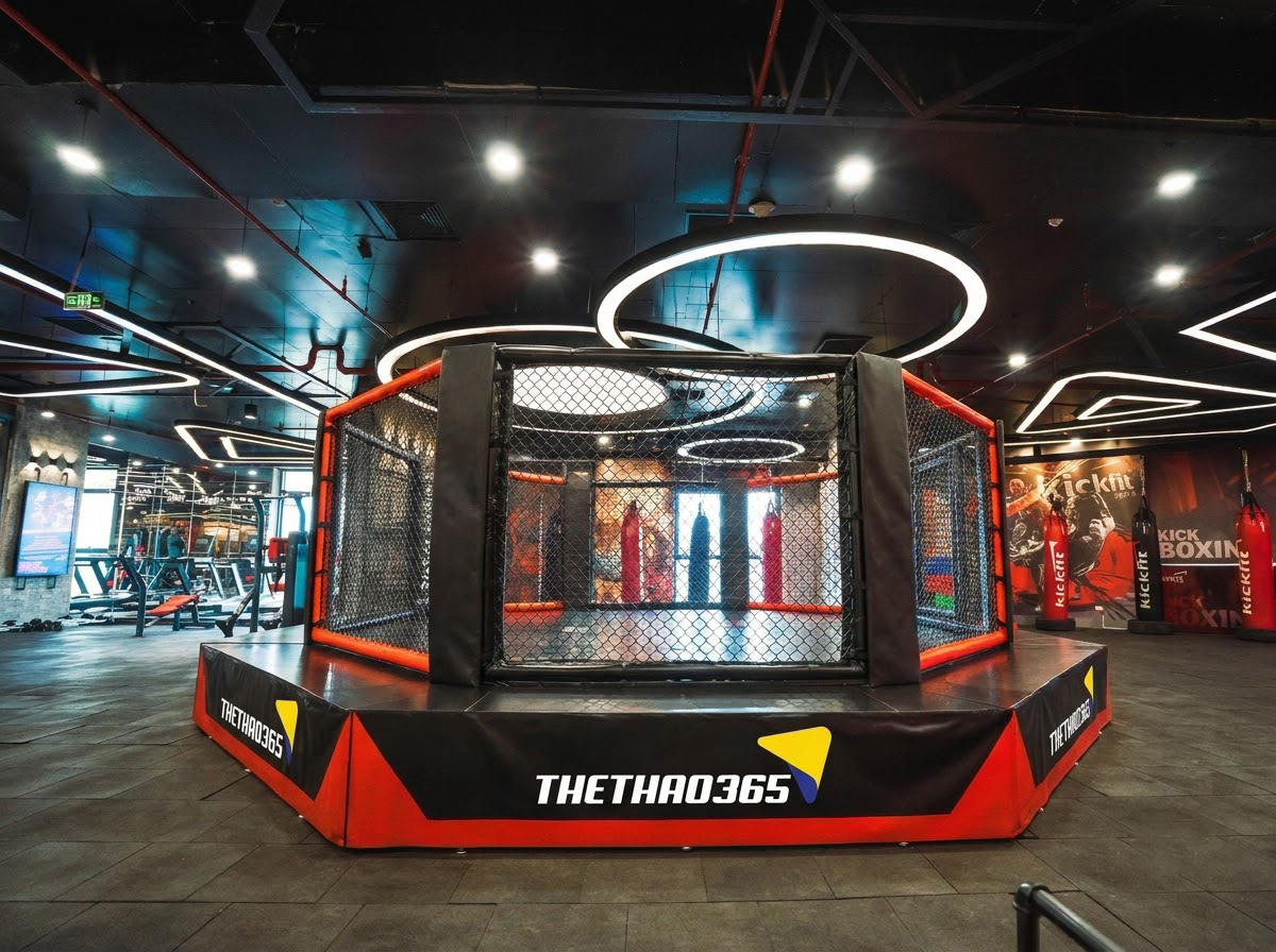 TỔNG QUAN VỀ LỒNG BÁT GIÁC THI ĐẤU MMA