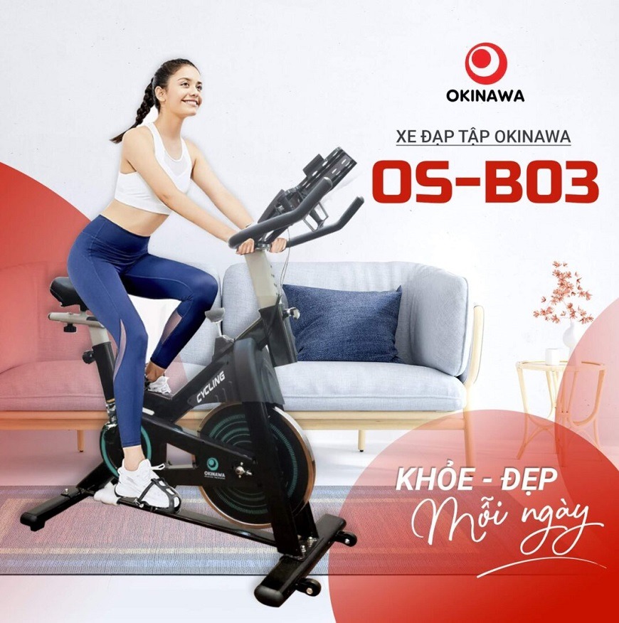 Xe đạp tập thể dục Okinawa OS-B03 1