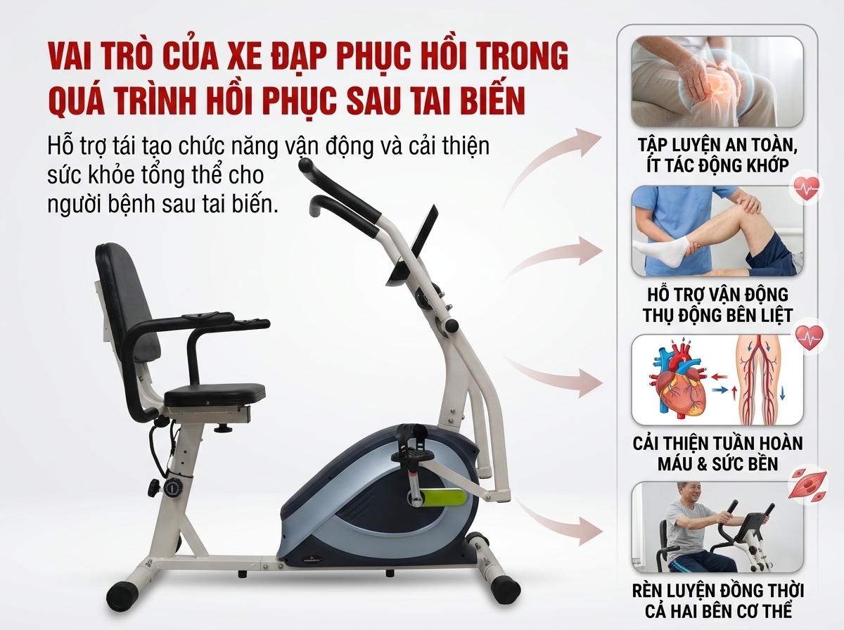 2. Vai trò của xe đạp phục hồi chức năng trong quá trình hồi phục sau tai biến  