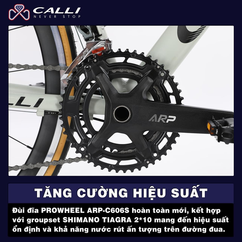 đùi đĩa xe đạp đua CALLI R6.5 2025