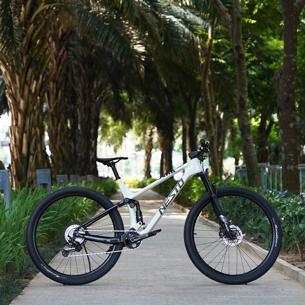 Hệ thống Giảm xóc (Phuộc)