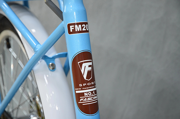 sườn xe đạp trẻ em Fascino FM20