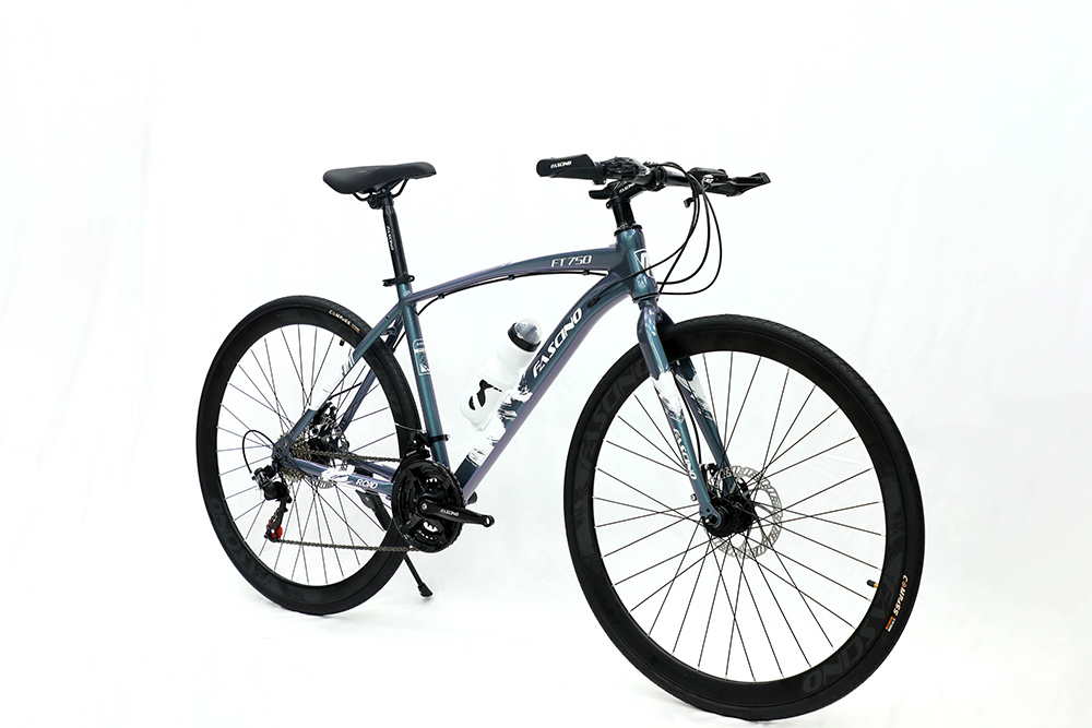 xe đạp touring Fascino FT-750 4