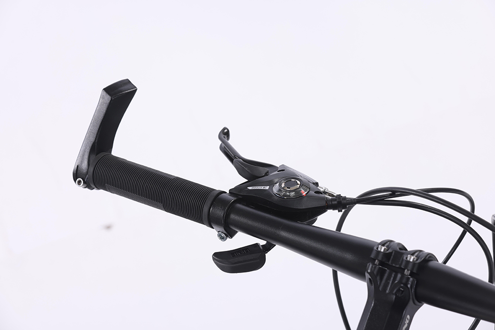xe đạp địa hình thể thao Fascino 329 3