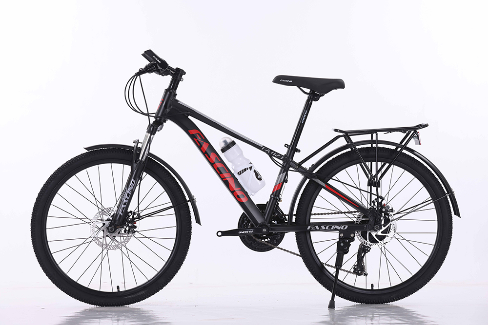 xe đạp địa hình thể thao Fascino 423 1