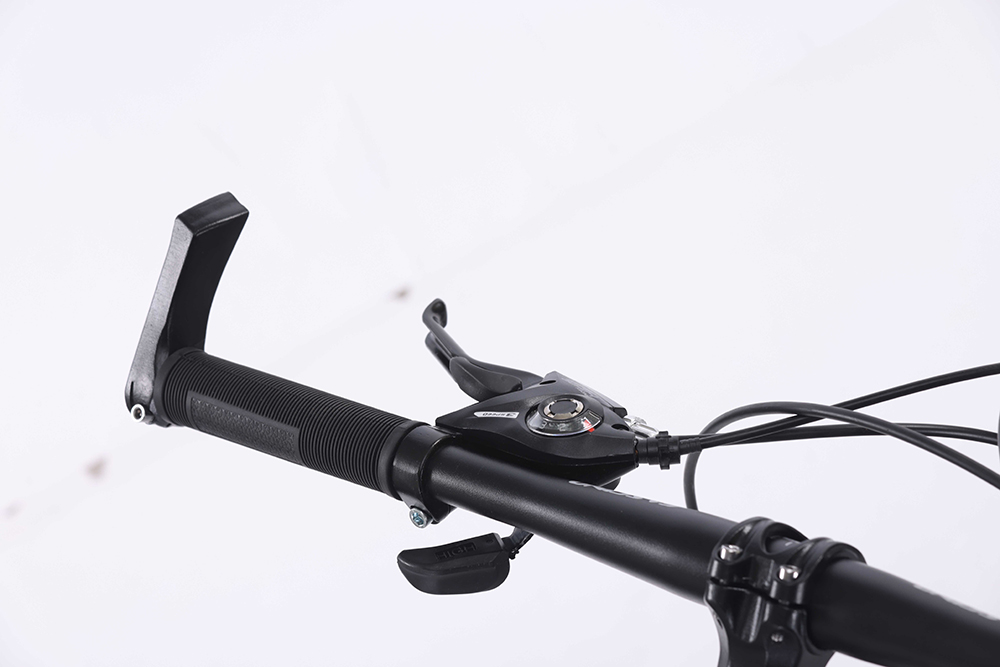 xe đạp địa hình thể thao Fascino 429 4