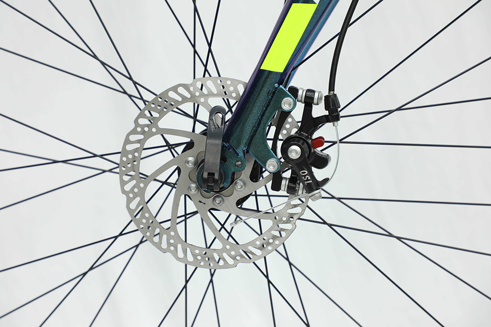 xe đạp đua Fascino FR700 PRO 10