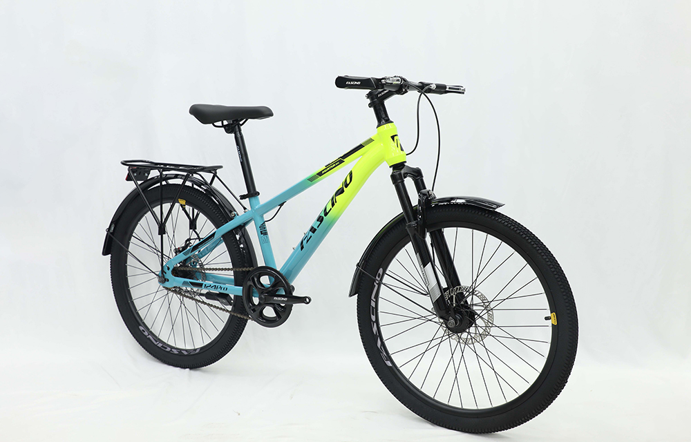 xe đạp địa hình thể thao Fascino 124PRO 1