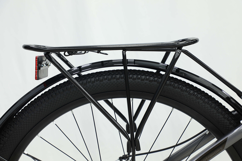 xe đạp địa hình thể thao Fascino 126PRO 9