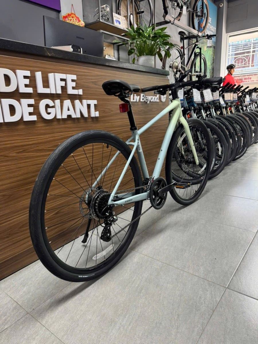 xe đạp touring Giant ESCAPE 2 PLUS 2026 14