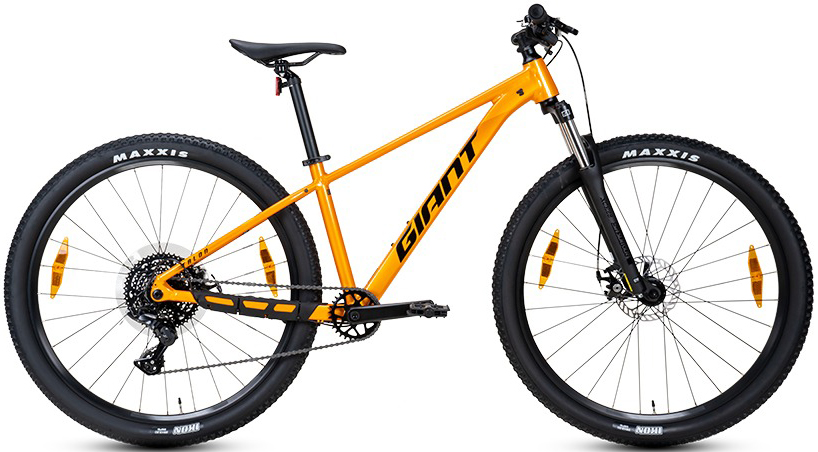 xe đạp địa hình thể thao Giant Talon 29 4 2025