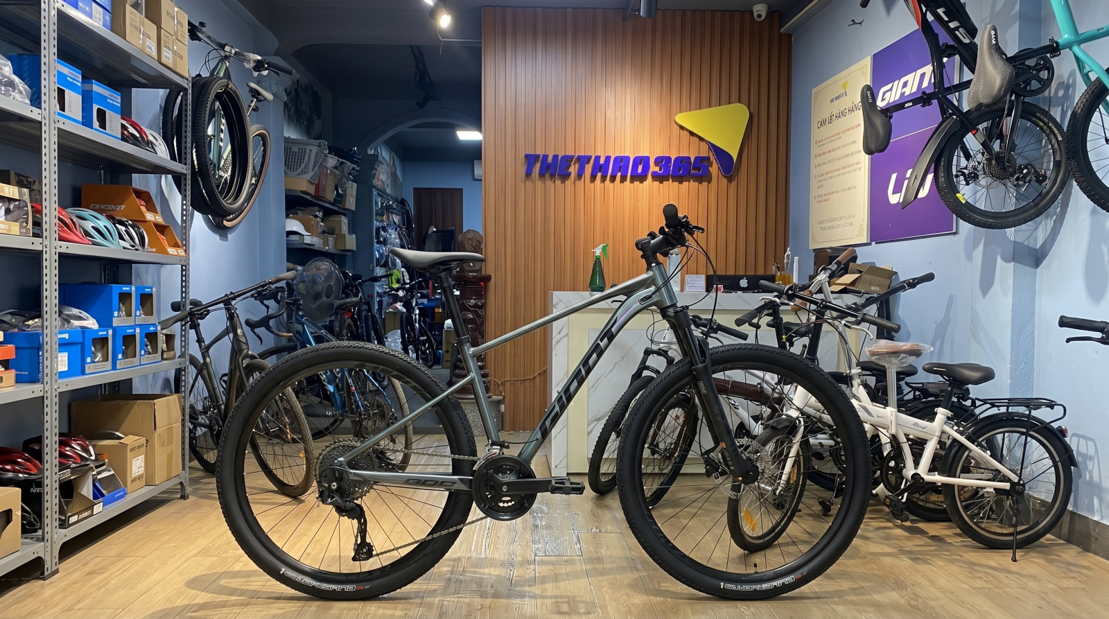 Tổng quan về GIANT 2026 XTC 800-E