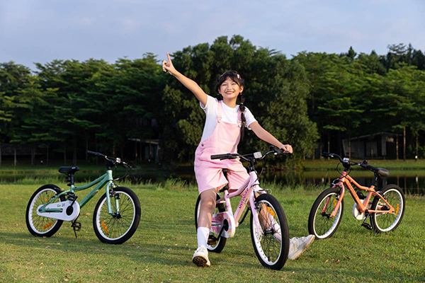 xe đạp trẻ em Gorobike City 20