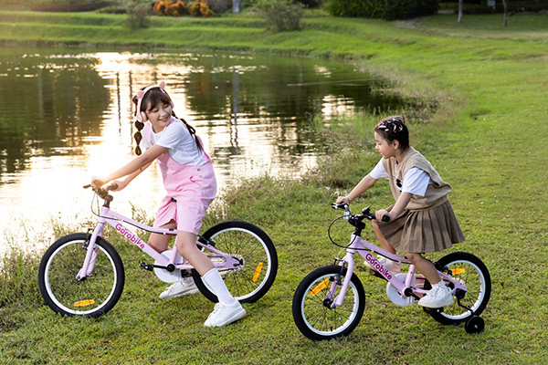 khung xe đạp trẻ em Gorobike City 20
