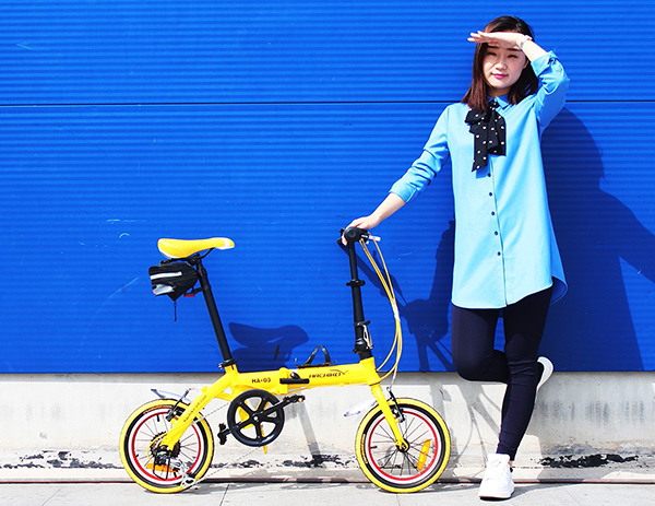 xe đạp gấp Hachiko HA-03 1