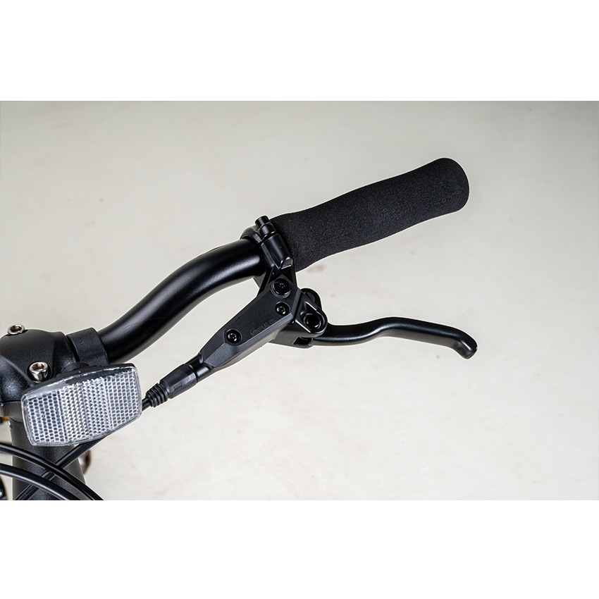 xe đạp gấp JAVA Neo-9S 12