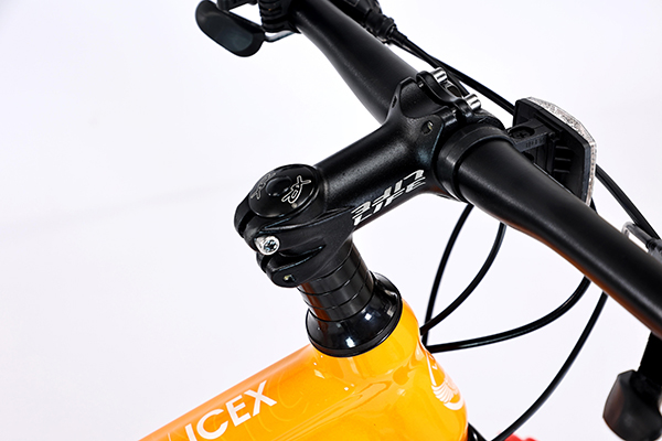 pô tăng xe đạp địa hình thể thao Life IceX 26 