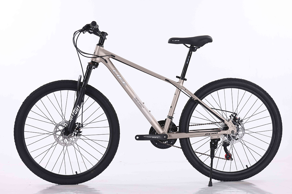 xe đạp địa hình thể thao Life MX1100 1