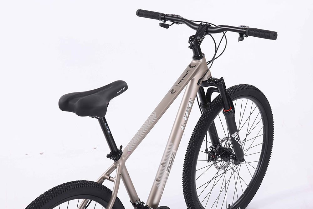 xe đạp địa hình thể thao Life MX1100 8