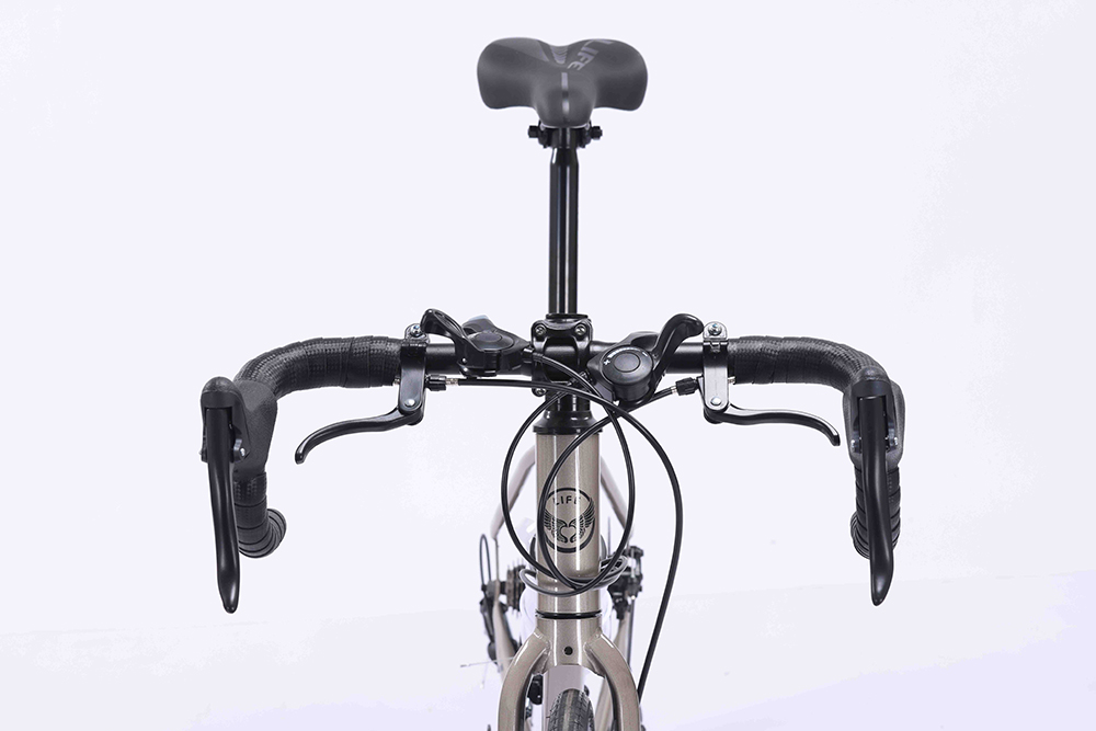 xe đạp đua Life RX20 3