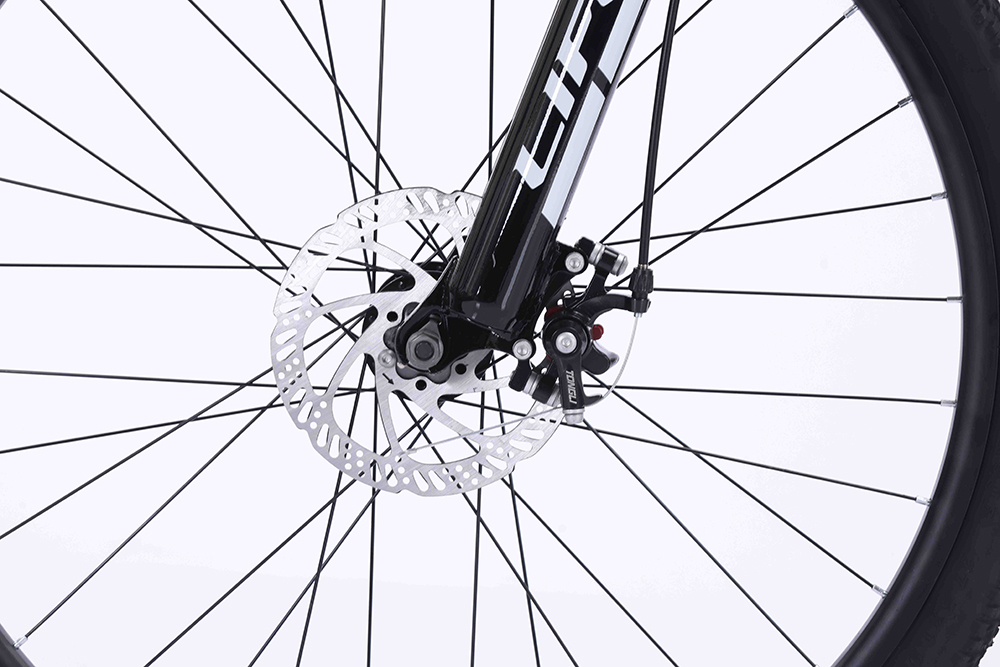 xe đạp địa hình thể thao Life MX900 10