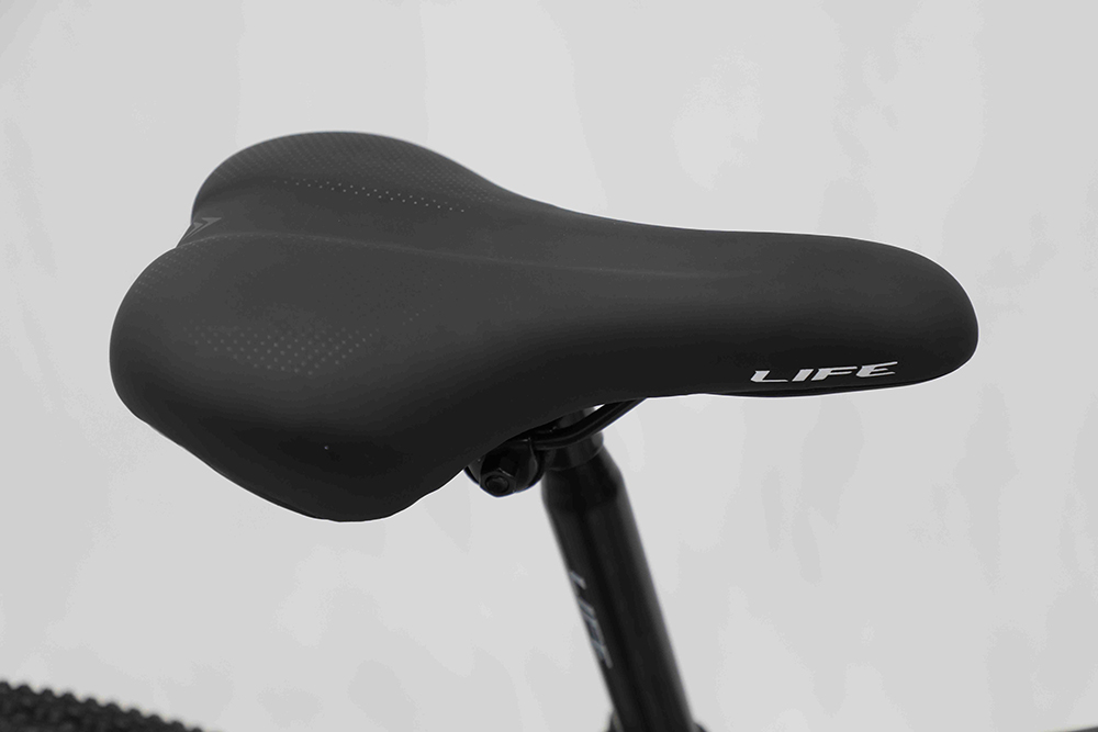 xe đạp địa hình thể thao Life MX900 12