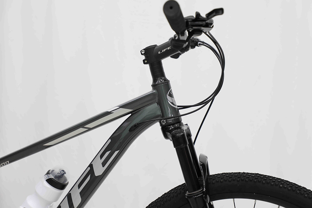 xe đạp địa hình thể thao Life MX900 2