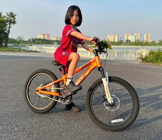 TỔNG QUAN VỀ XE ĐẠP ĐỊA HÌNH TRẺ EM MAKELEN WARRIOR 20 INCH