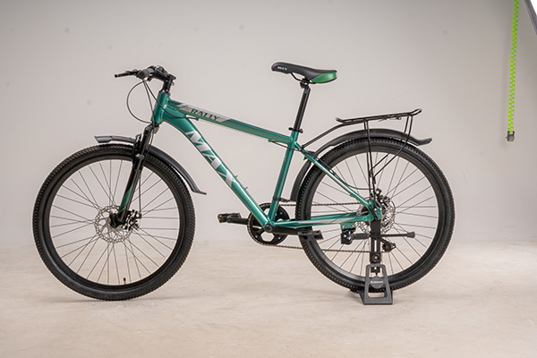 xe đạp địa hình thể thao MAX RALLY xanh