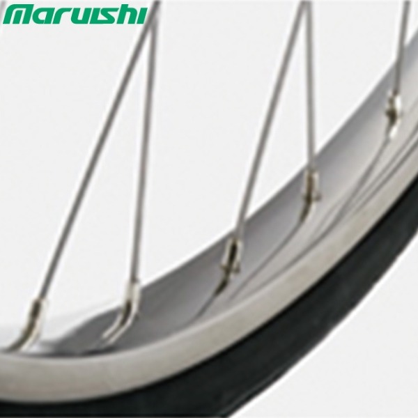 xe đạp điện trợ lực Maruishi Sportivo