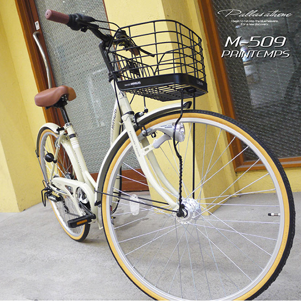 xe đạp gấp Mypallas M509