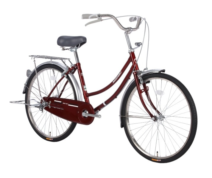 xe đạp nữ NISHIKI Mini 24 2