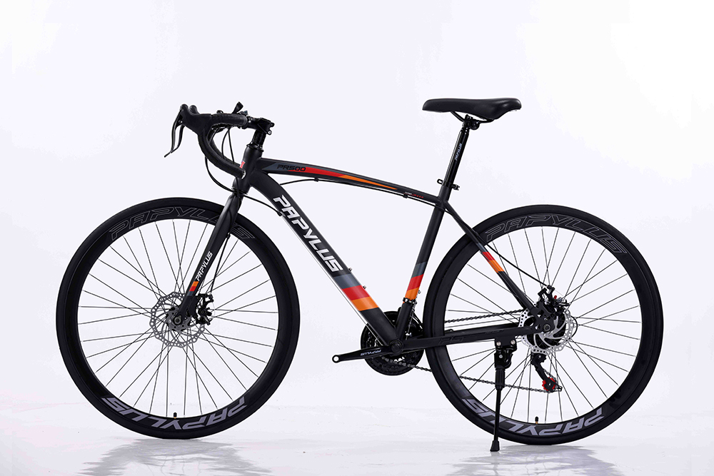 xe đạp đua Papylus PR500 1