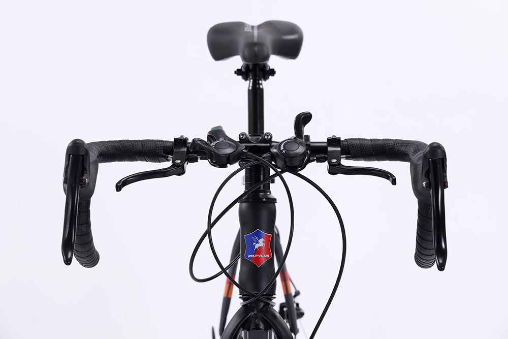 xe đạp đua Papylus PR500 2