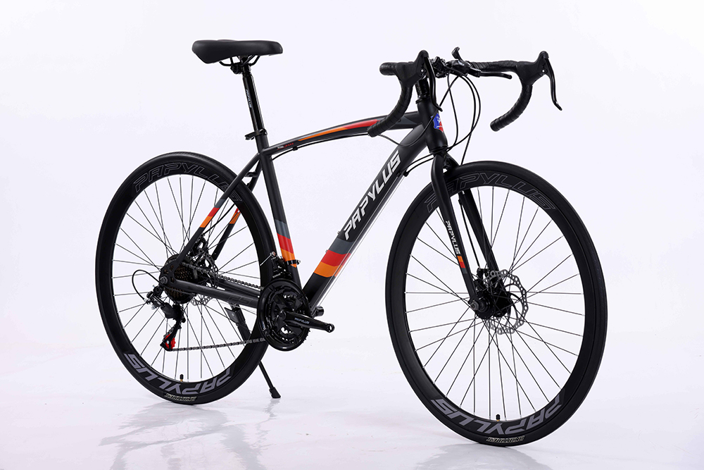 xe đạp đua Papylus PR500 5
